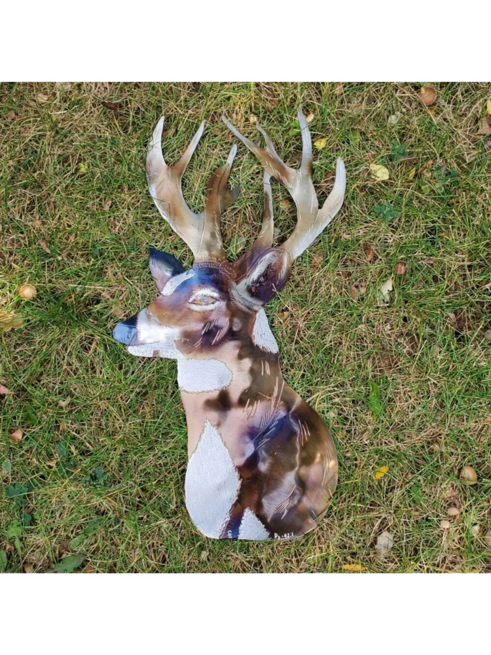 N/A white tailed